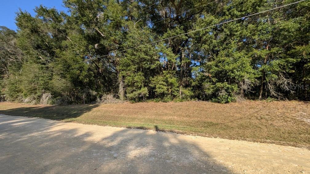 111 Southwest Sw Lane Dunnellon, FL 34432 - Photo 2 of 3 a view of outdoor space and yard