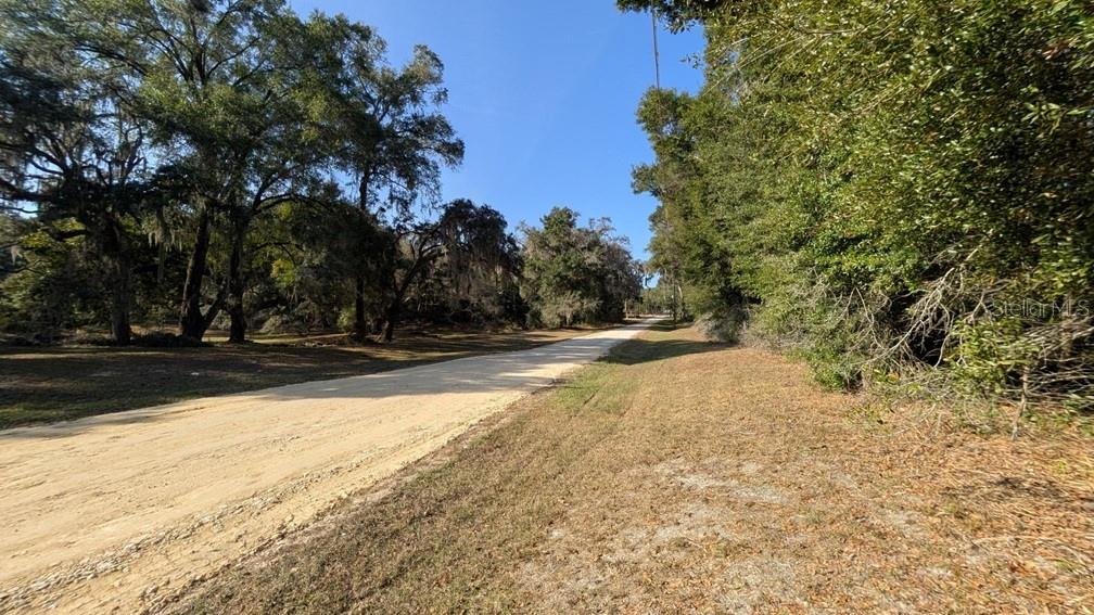 111 Southwest Sw Lane Dunnellon, FL 34432 - Photo 3 of 3 a view of backyard space