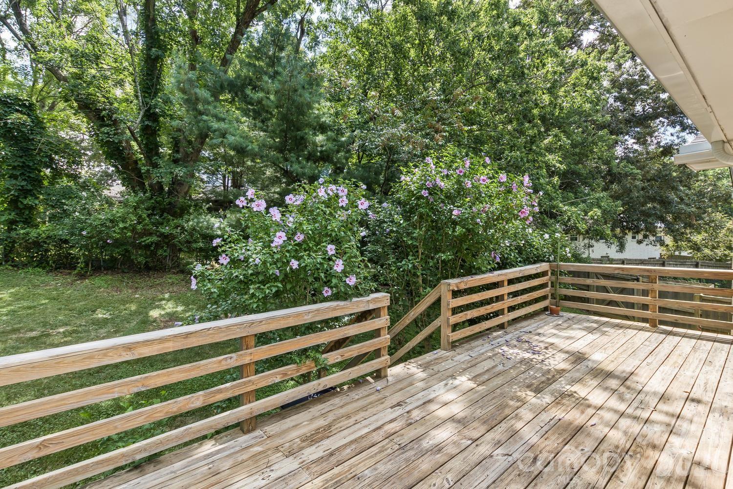 17 Rhododendron Place Asheville, NC 28805 - Photo 31 of 36