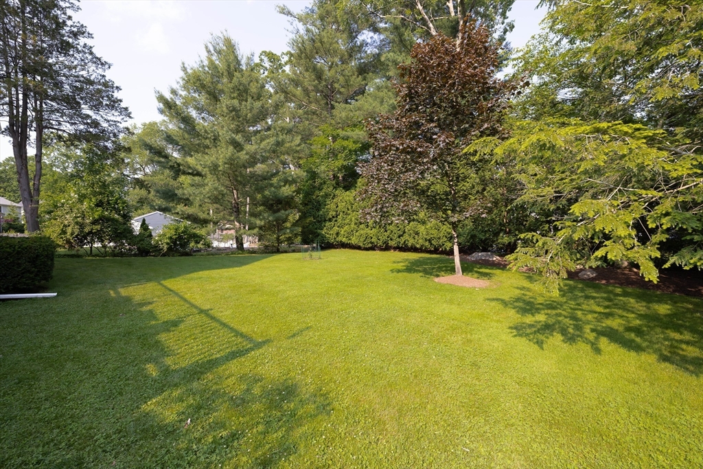 44 George Aggott Road Needham, MA 02492 - Photo 34 of 34