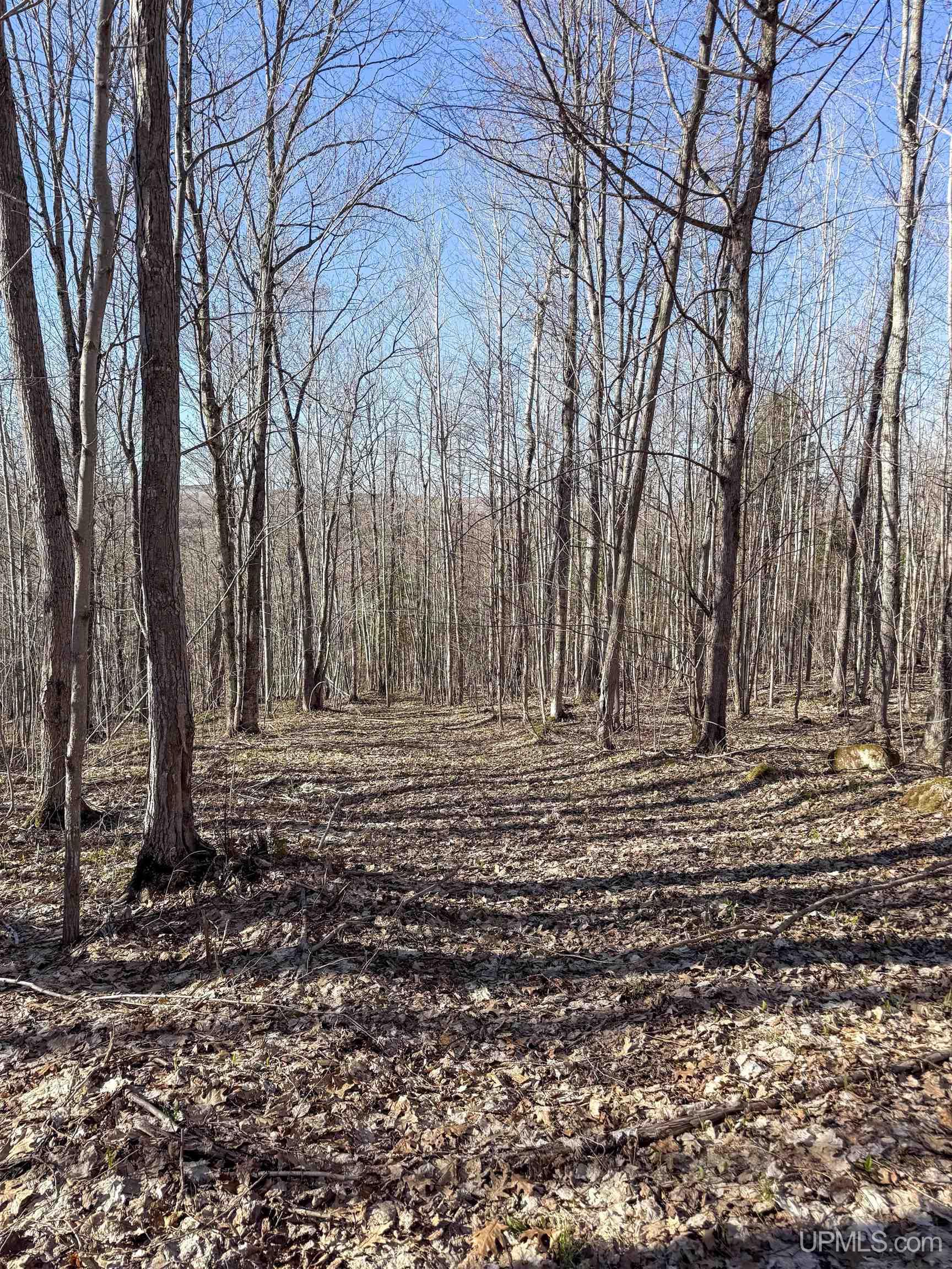 Tbd Ridgecrest Drive Dollar Bay, MI 49922 - Photo 29 of 37