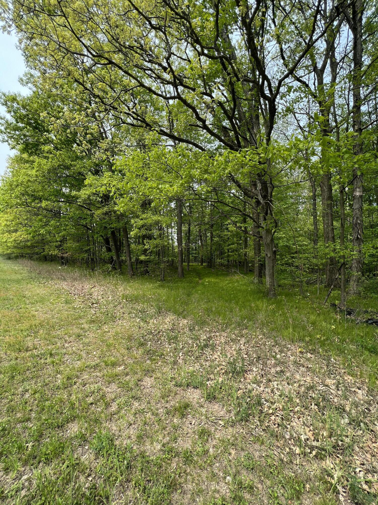 11389 East Pakes Road Sumner, MI 48889 - Photo 11 of 16 E135B982-4EBE-4BC2-B66A-95251A29C1ED