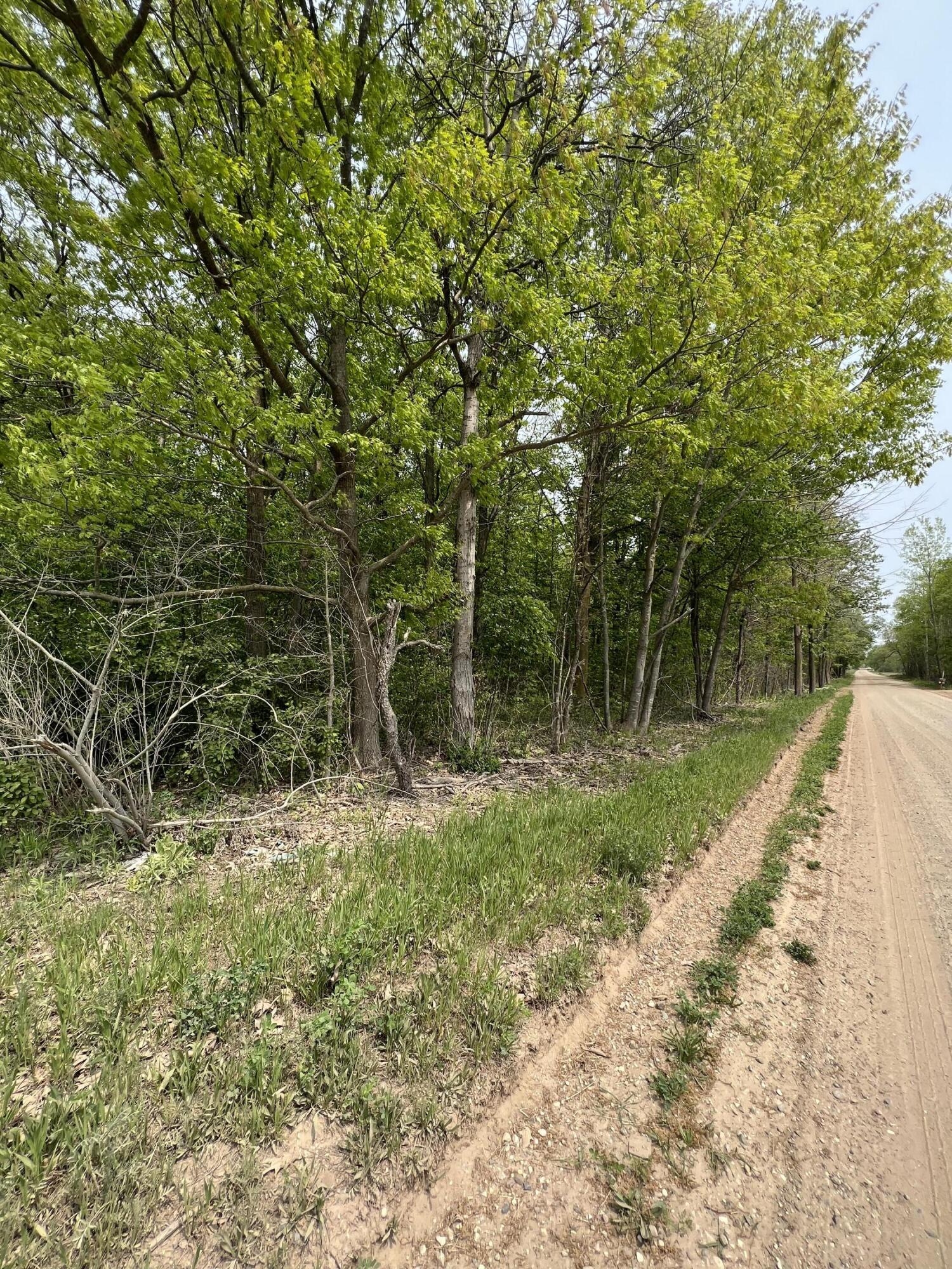11389 East Pakes Road Sumner, MI 48889 - Photo 13 of 16 0A7A9B67-68A5-4C17-81D4-D81554DDA47E