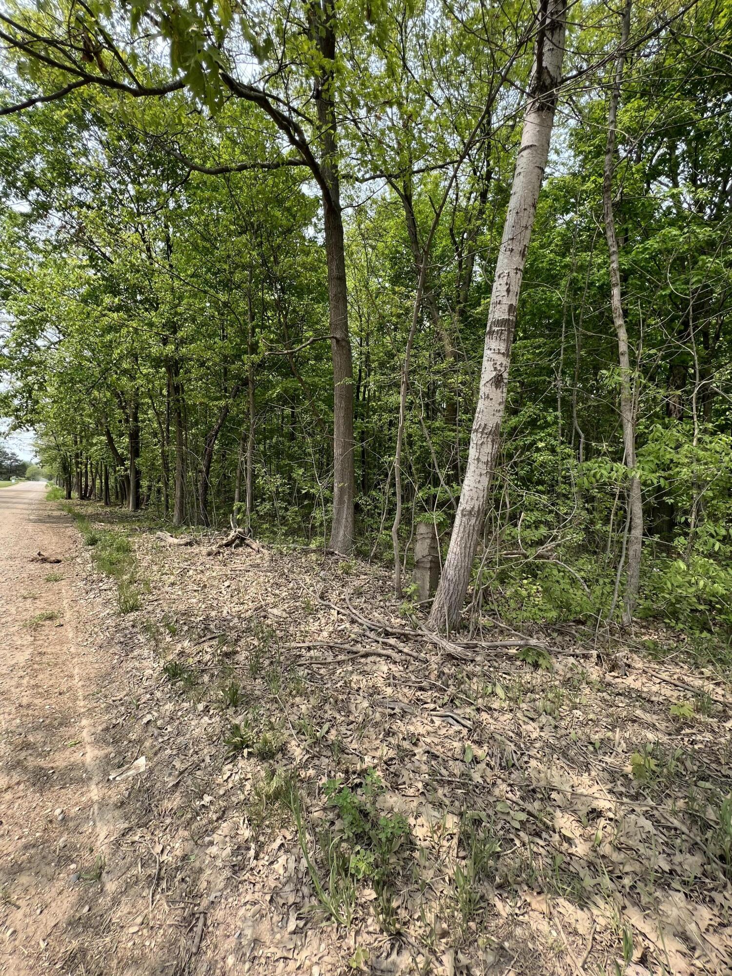 11389 East Pakes Road Sumner, MI 48889 - Photo 14 of 16 0DB18F53-8027-4B8B-918A-4E9B40B4E01A
