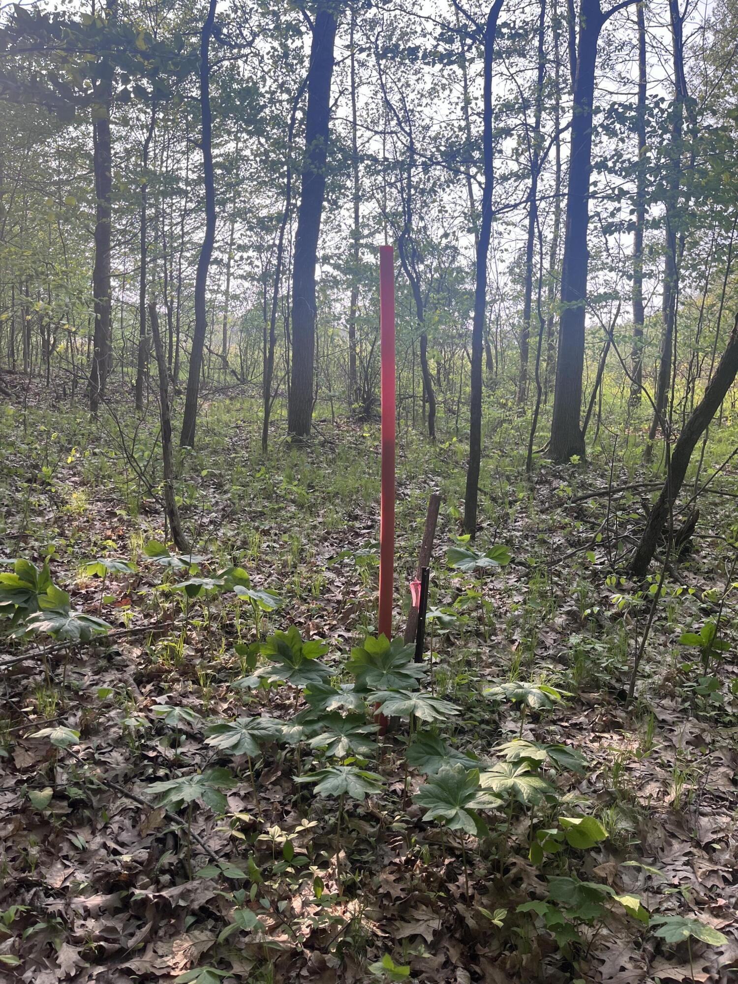 11389 East Pakes Road Sumner, MI 48889 - Photo 15 of 16 375B19A2-C936-469F-848A-6AD6BC911E6A