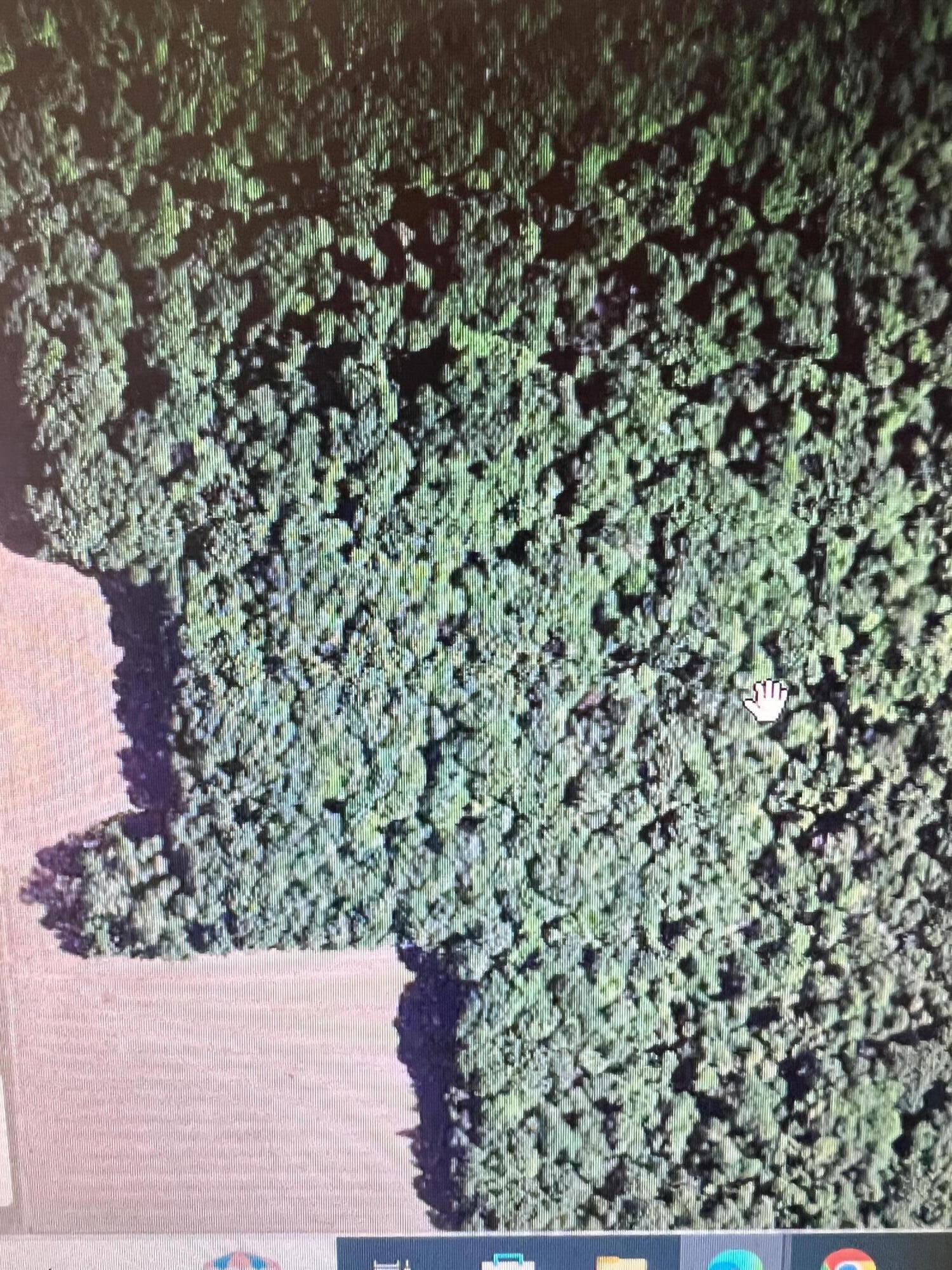11389 East Pakes Road Sumner, MI 48889 - Photo 16 of 16 0F8133D6-D40E-493F-90D0-68B0A2497D3B