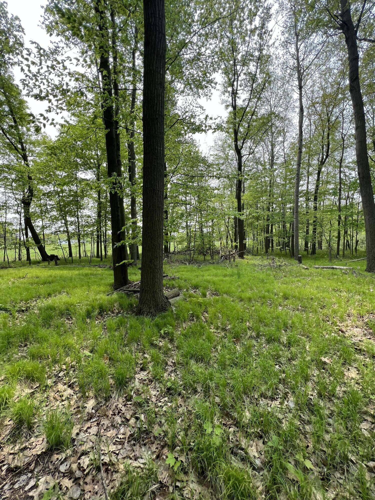 11389 East Pakes Road Sumner, MI 48889 - Photo 10 of 16 F0EDE8FC-896A-4FD0-853A-56710B736E5E
