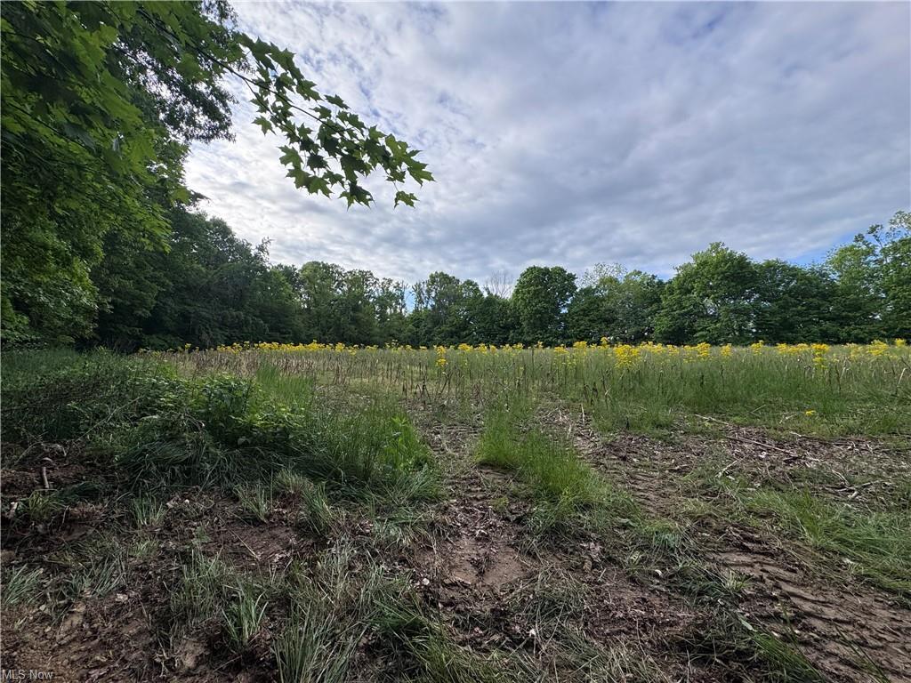 10 Walker Hl Road Stockport, OH 43787 - Photo 9 of 13 10