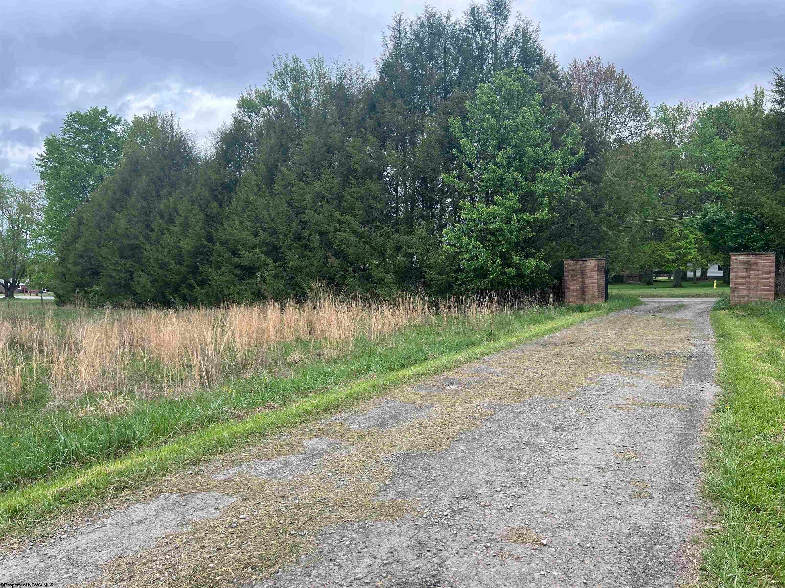 Tbd Chenoweth Creek Road Elkins, WV 26241 - Photo 8 of 11 Gallery Image 8