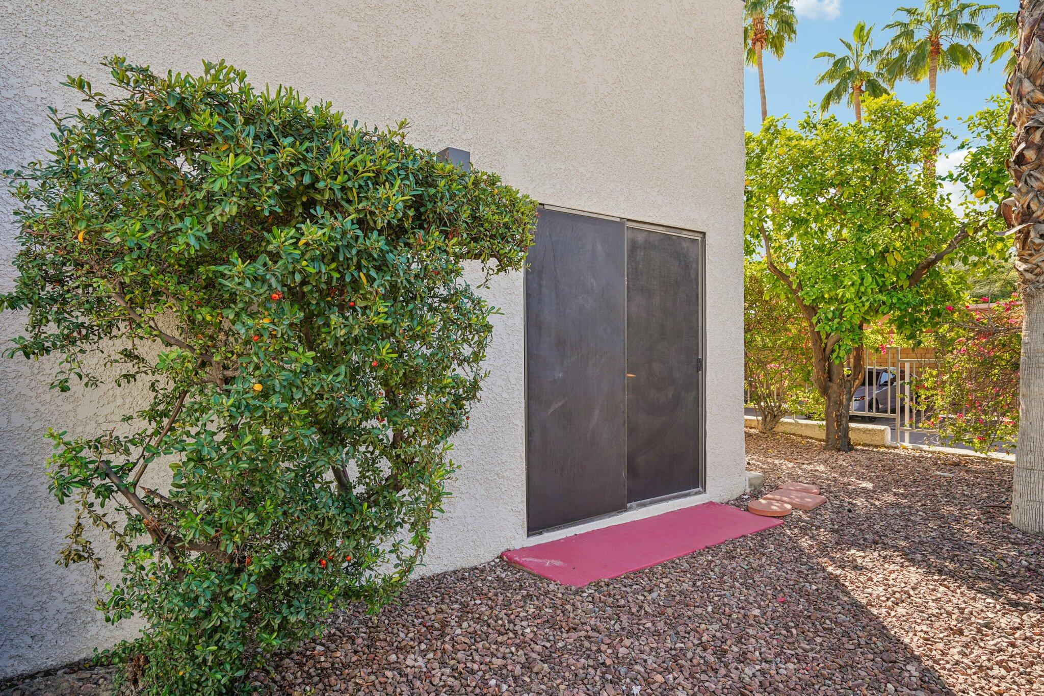 3155 Ramon Road, Unit 311 Palm Springs, CA 92264 - Photo 26 of 29 a view of a backyard