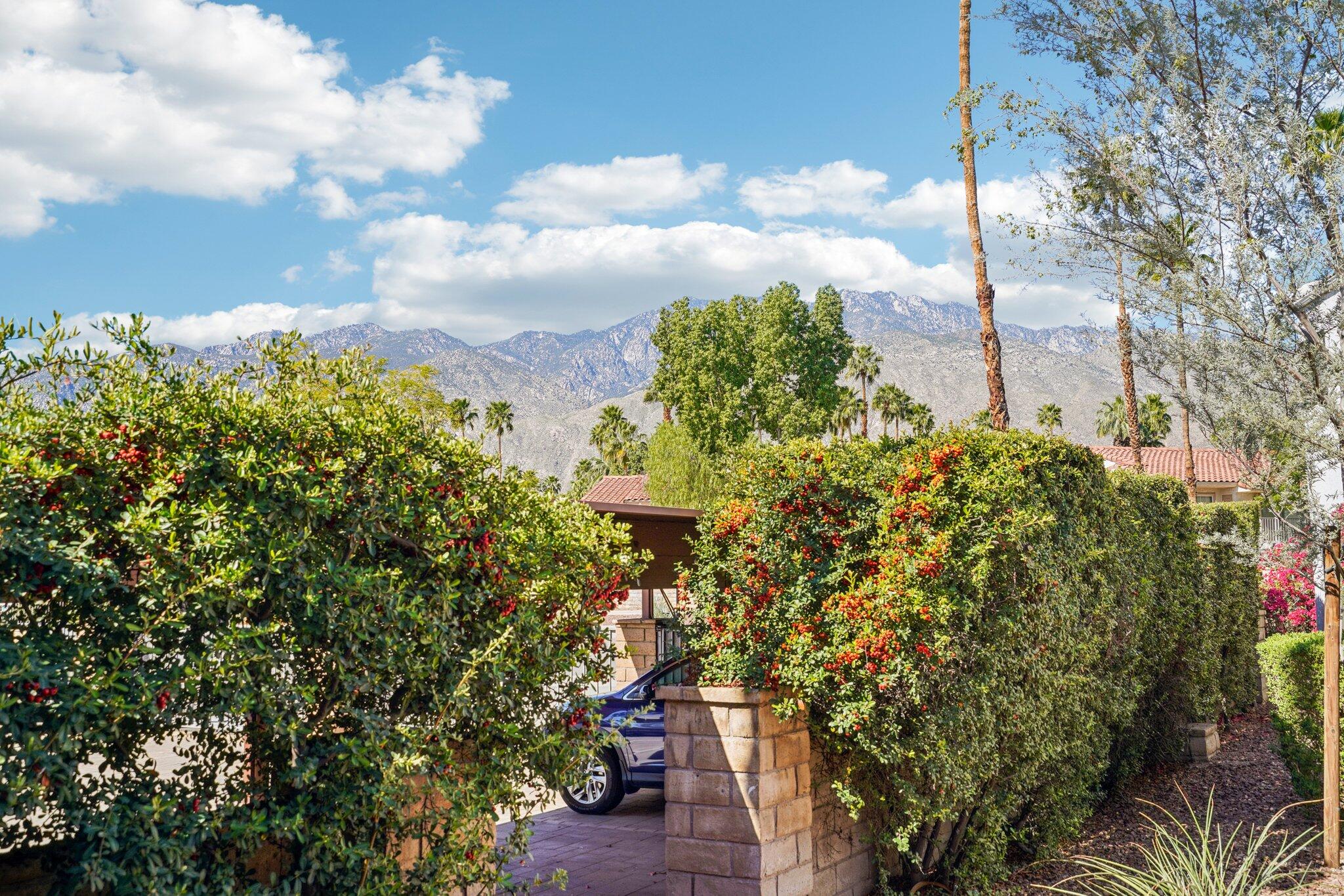 3155 Ramon Road, Unit 311 Palm Springs, CA 92264 - Photo 27 of 29 a view of a lake with a building in the background