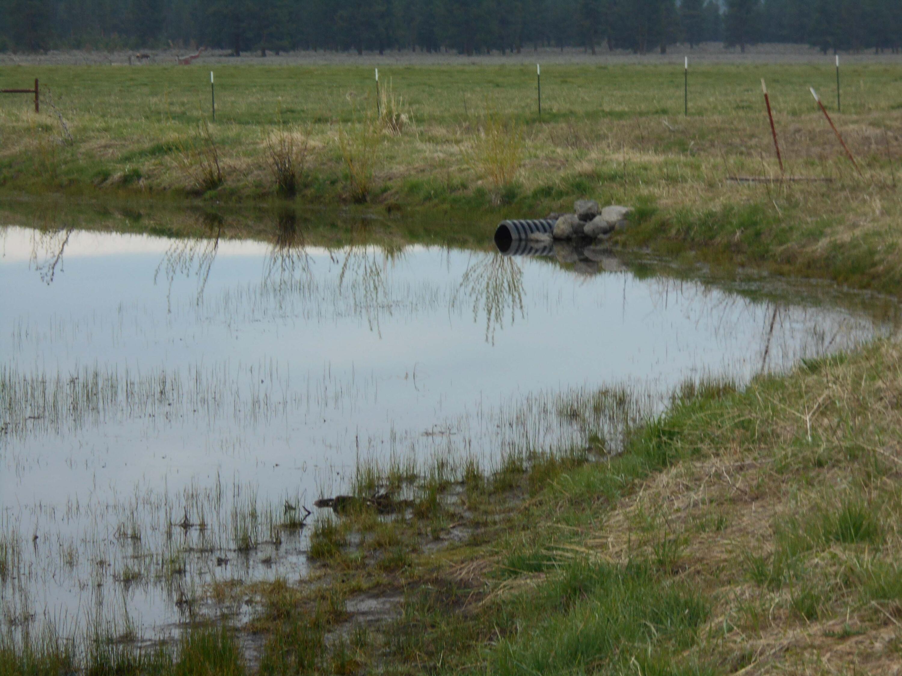 Skeen Ranch Road Chiloquin, OR 97624 - Photo 18 of 26 one pond oregon four j ranch