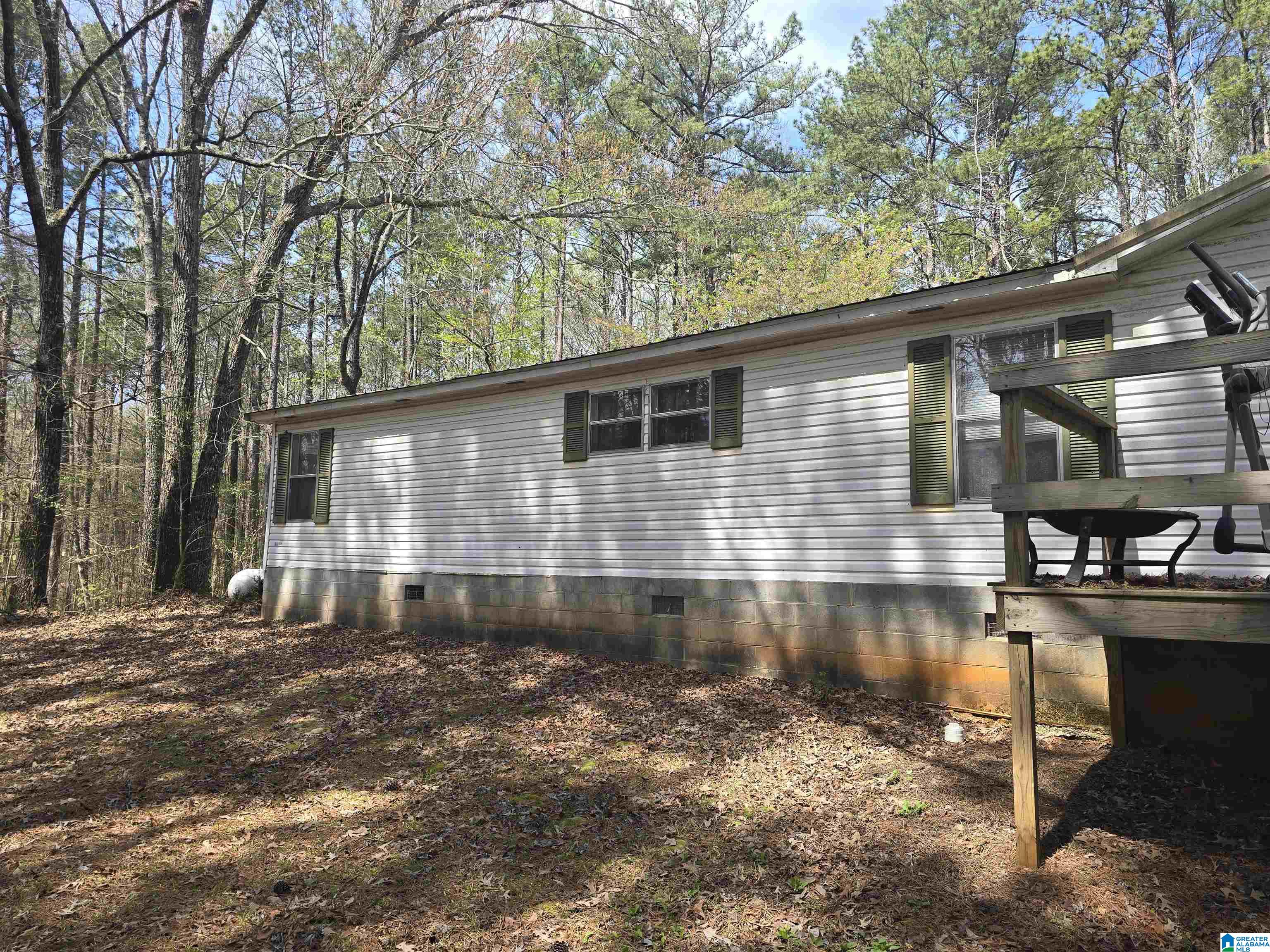 1128 Old Ashland Road Goodwater, AL 35072 - Photo 23 of 24