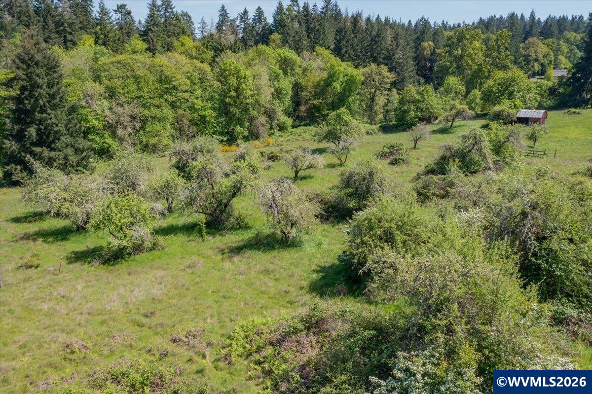 201560 Orchard Tract Road Monroe, OR 97456 - Photo 12 of 23