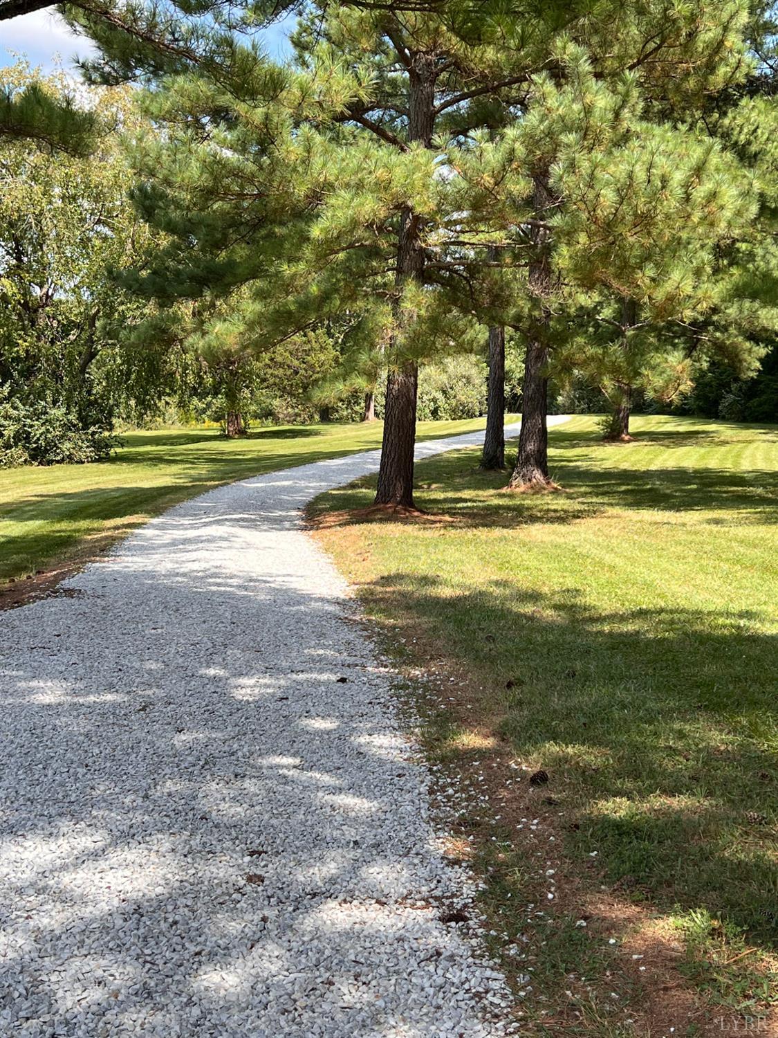102 Fawn Court Amherst, VA 24521 - Photo 59 of 64 a view of a yard with a trees