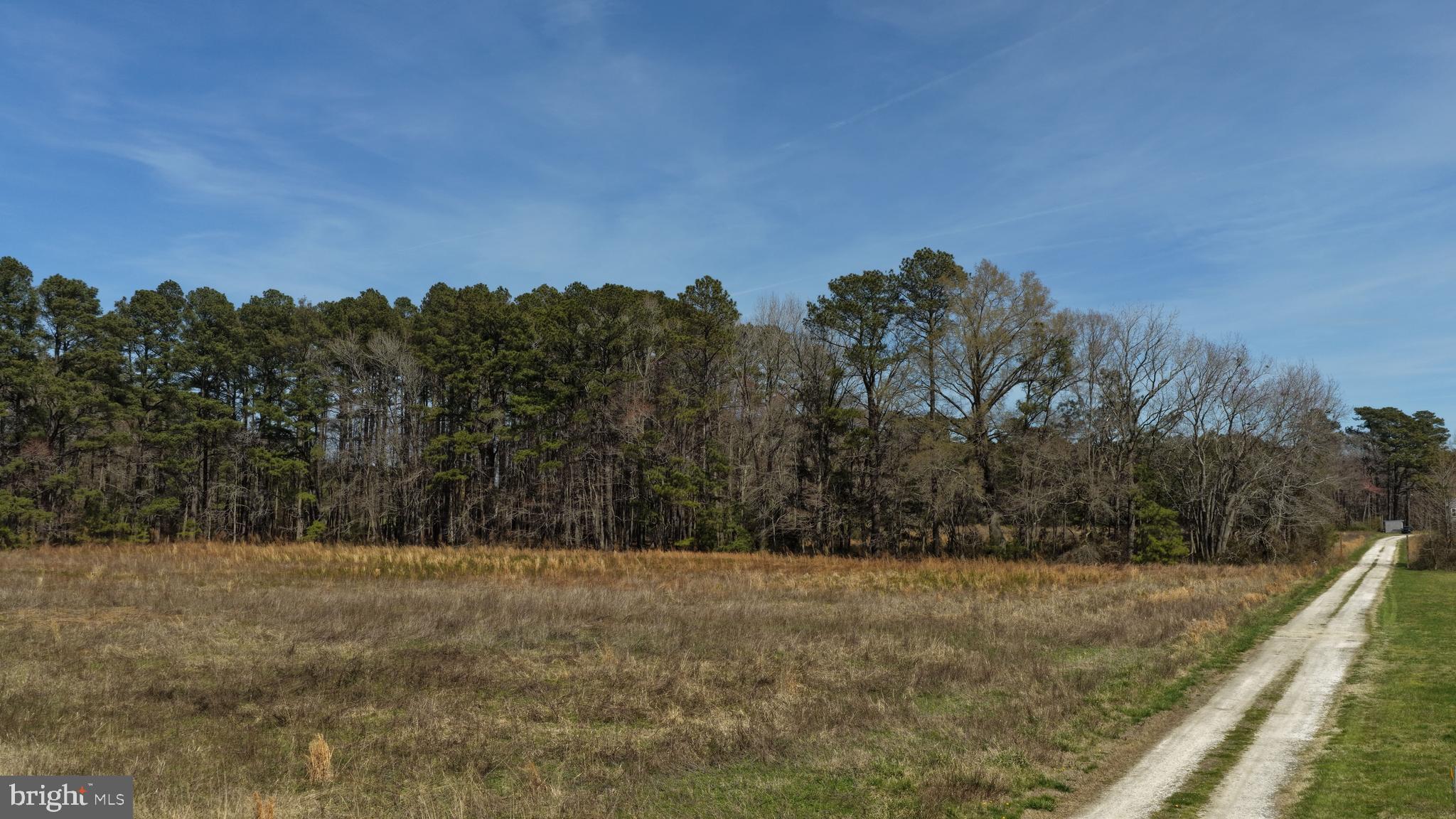 0 Cypress Road Pocomoke City, MD 21851 - Photo 14 of 16