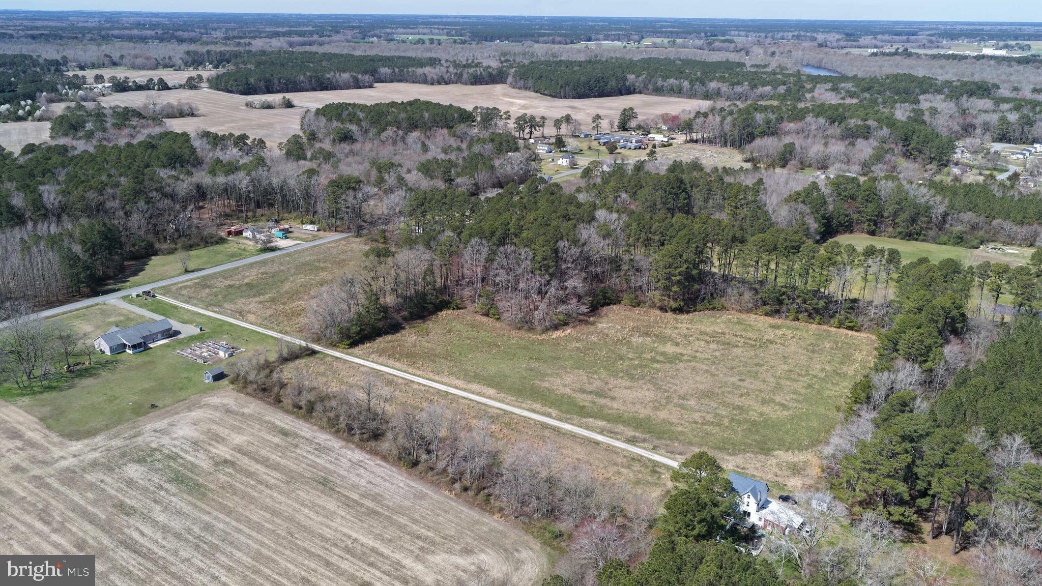 0 Cypress Road Pocomoke City, MD 21851 - Photo 4 of 16