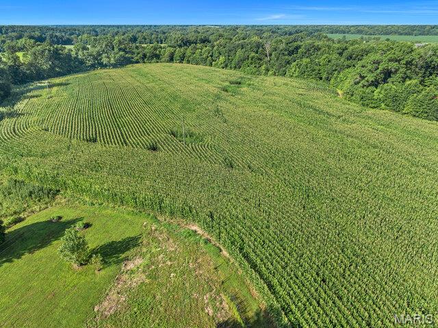 33-ac Penrod Road Troy, MO 63379 - Photo 5 of 6