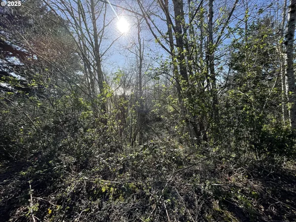$199,999 | West Benham Lane, Unit 300, Brookings, OR 97415