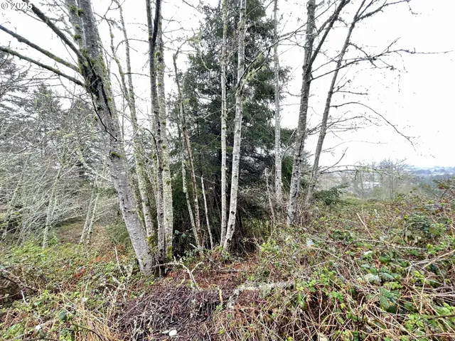 a view of a lake with a city view