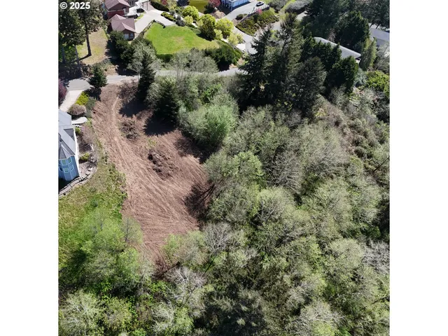 a plant with lots of trees