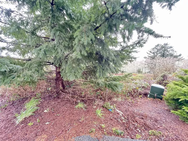a view of a garden with plants and a building