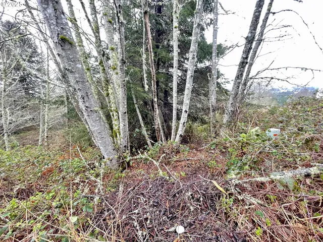 a view of a yard with a tree