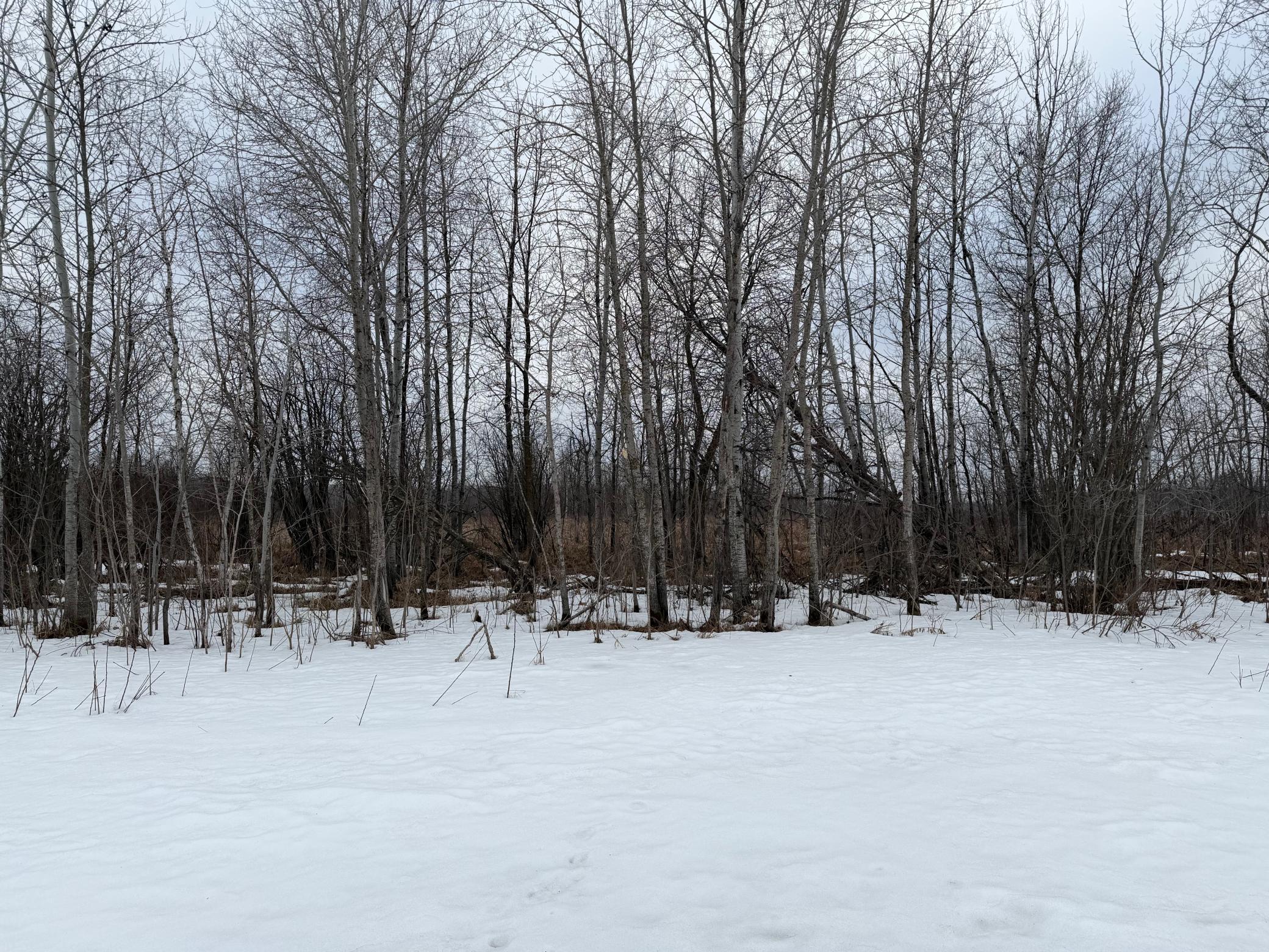 Tbd-b 180th Street Milaca, MN 56353 - Photo 69 of 80
