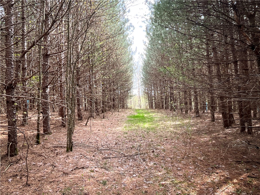 West Creek Road Richford, NY 13835 - Photo 10 of 44