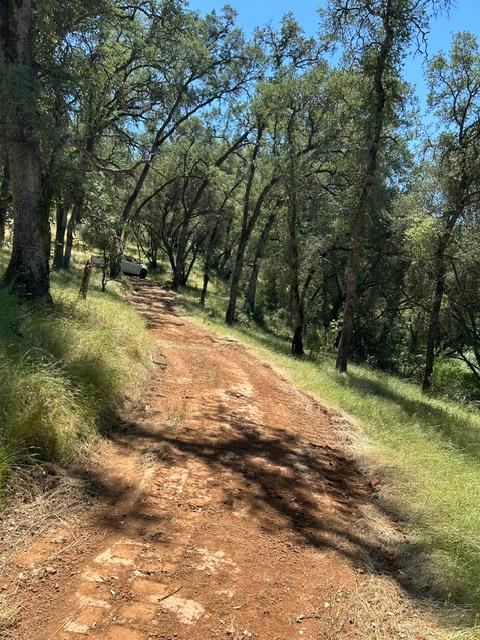 0 Stony Creek Road Ione, CA 95640 - Photo 62 of 70