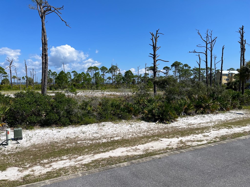 7 Labrador Drive Port St. Joe, FL 32456 - Photo 3 of 11