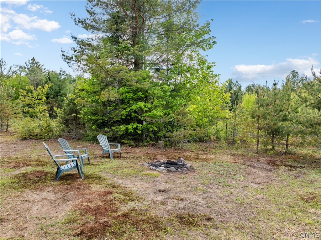 225 Lite Road Russia, NY 13338 - Photo 3 of 26