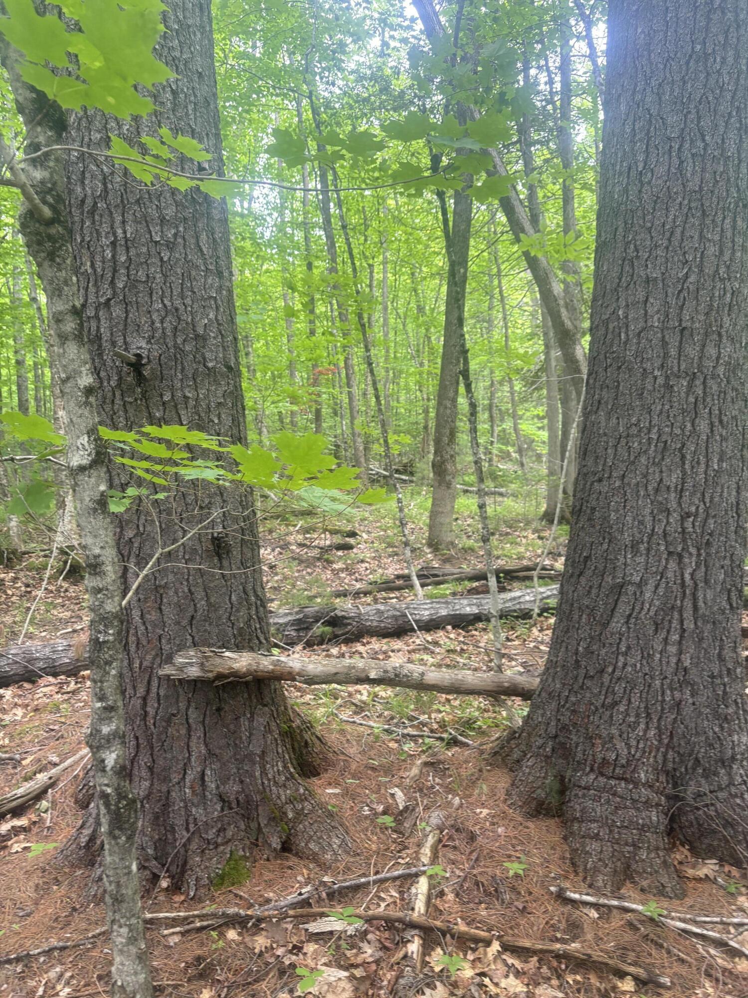 0 Stream Road Moscow, ME 04920 - Photo 2 of 6