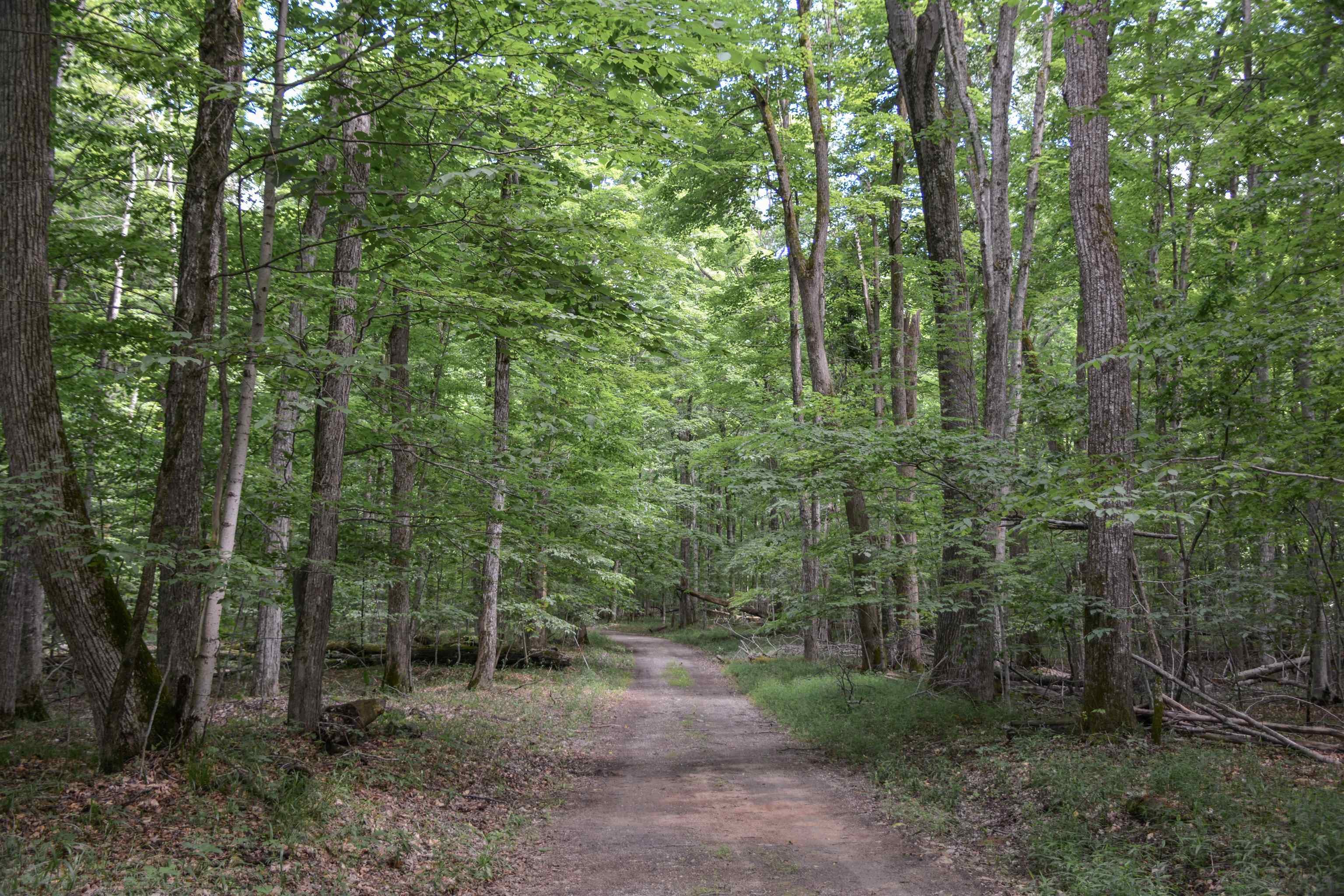 16568 Wagner Road Lake Ann, MI 49650 - Photo 34 of 79 1947392-3836c5ce-a6be-43ff-afe4-f76793b028e2.JPG