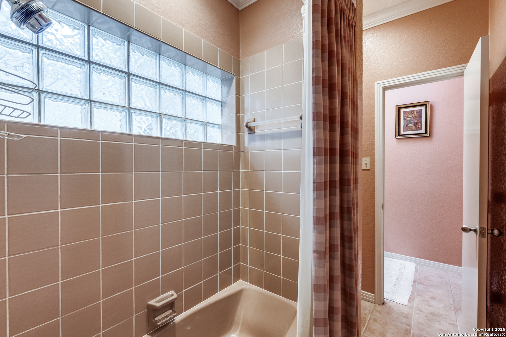 7801 Timber Top Drive Fair Oaks Ranch, TX 78015 - Photo 24 of 36