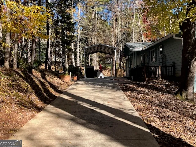 a view of a garden with a pathway