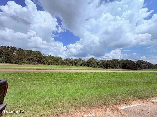 $189,000 | 5413 US 49, Mount Olive, MS 39119