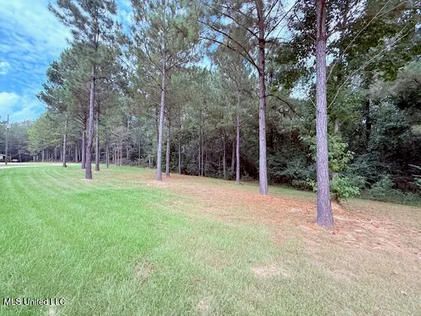 $189,000 | 5413 US 49, Mount Olive, MS 39119