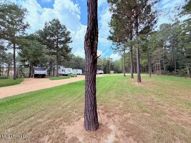 $189,000 | 5413 US 49, Mount Olive, MS 39119