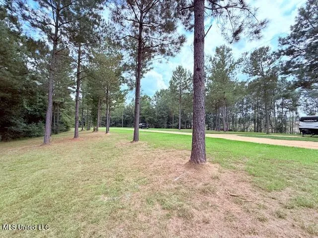 $189,000 | 5413 US 49, Mount Olive, MS 39119