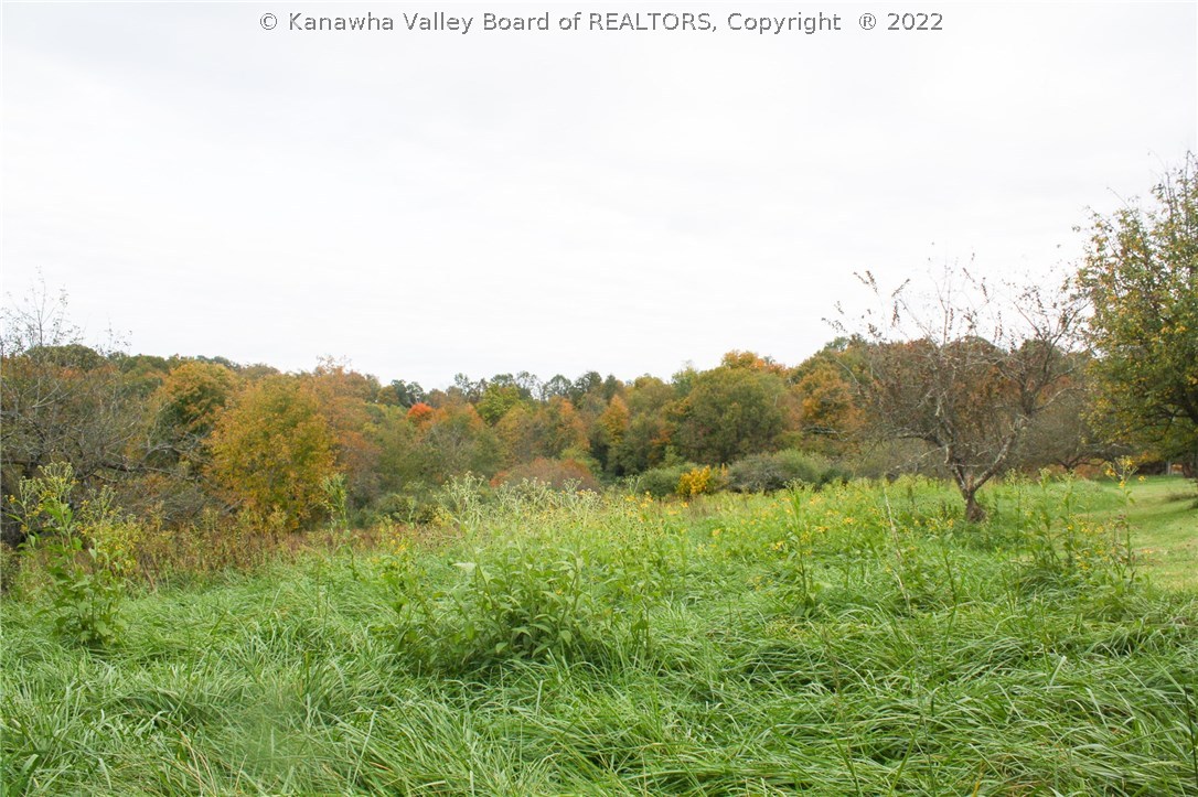 1187 Redmond Ridge Road Gallipolis Ferry, WV 25515 - Photo 10 of 18 Gallery Image 10