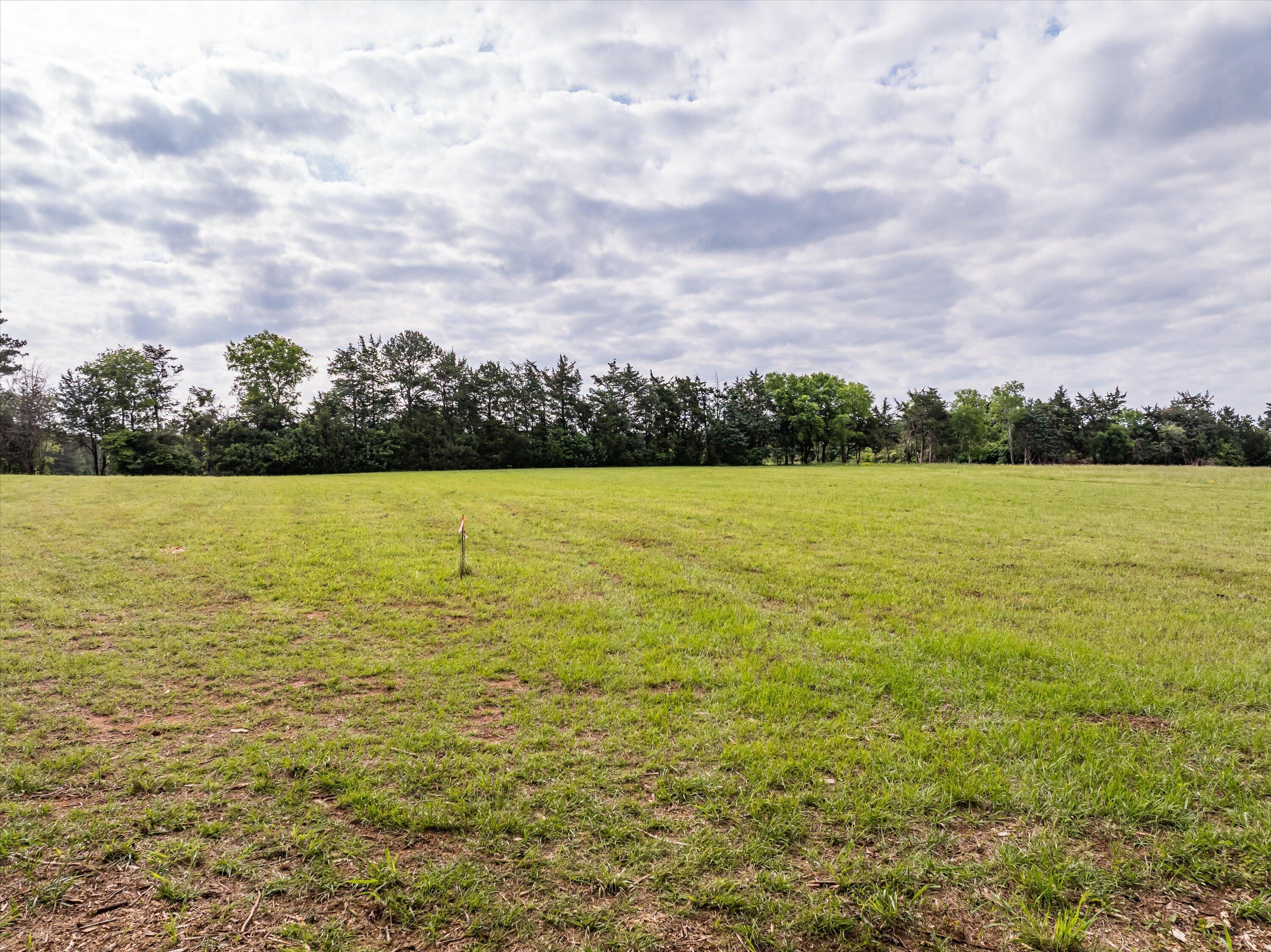 5760 Cobbham Road Appling, GA 30802 - Photo 20 of 42 33-Lot 2_21