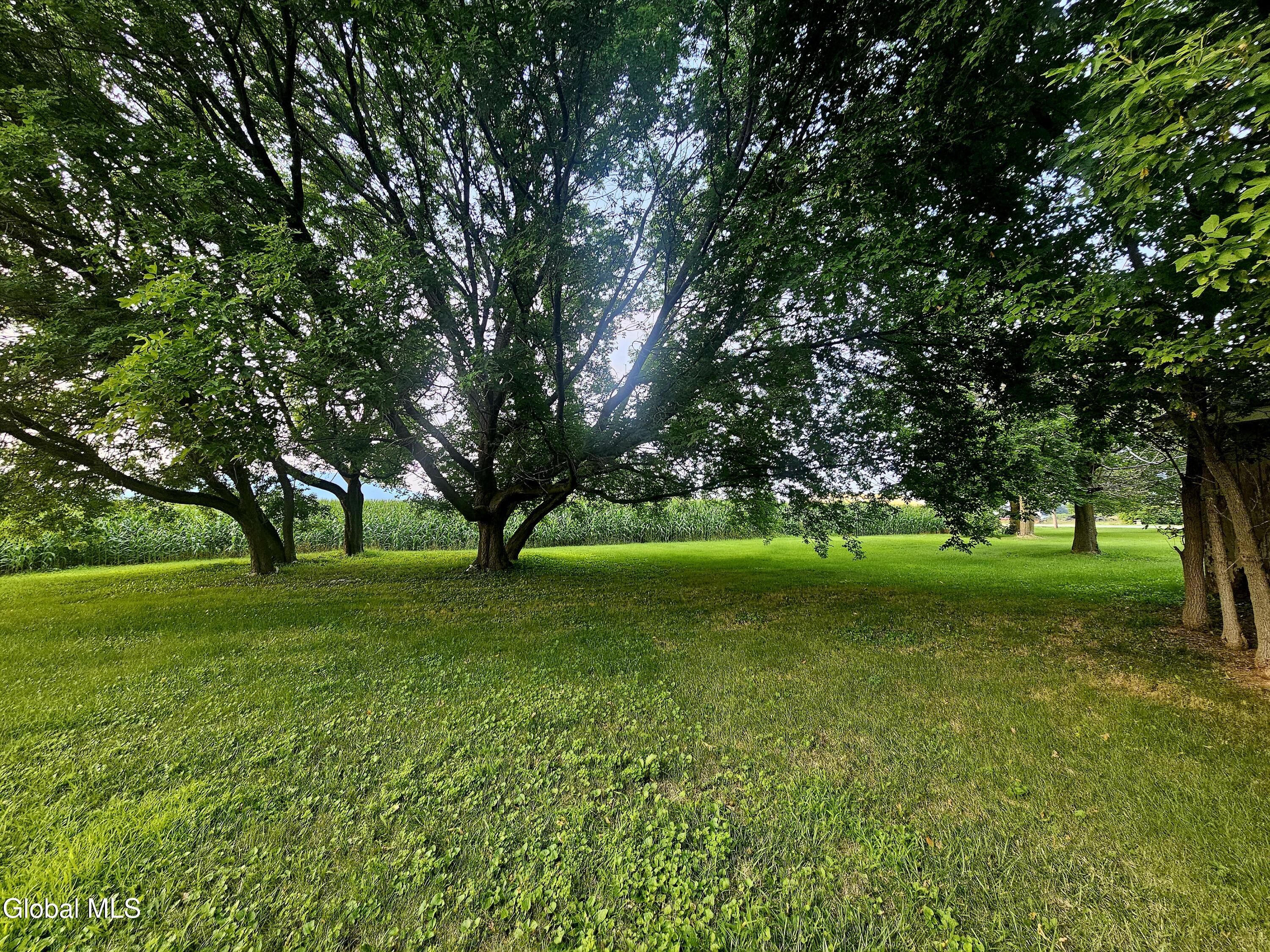 4515 Highway 30 Middleburgh, NY 12122 - Photo 30 of 32 20250804_185447