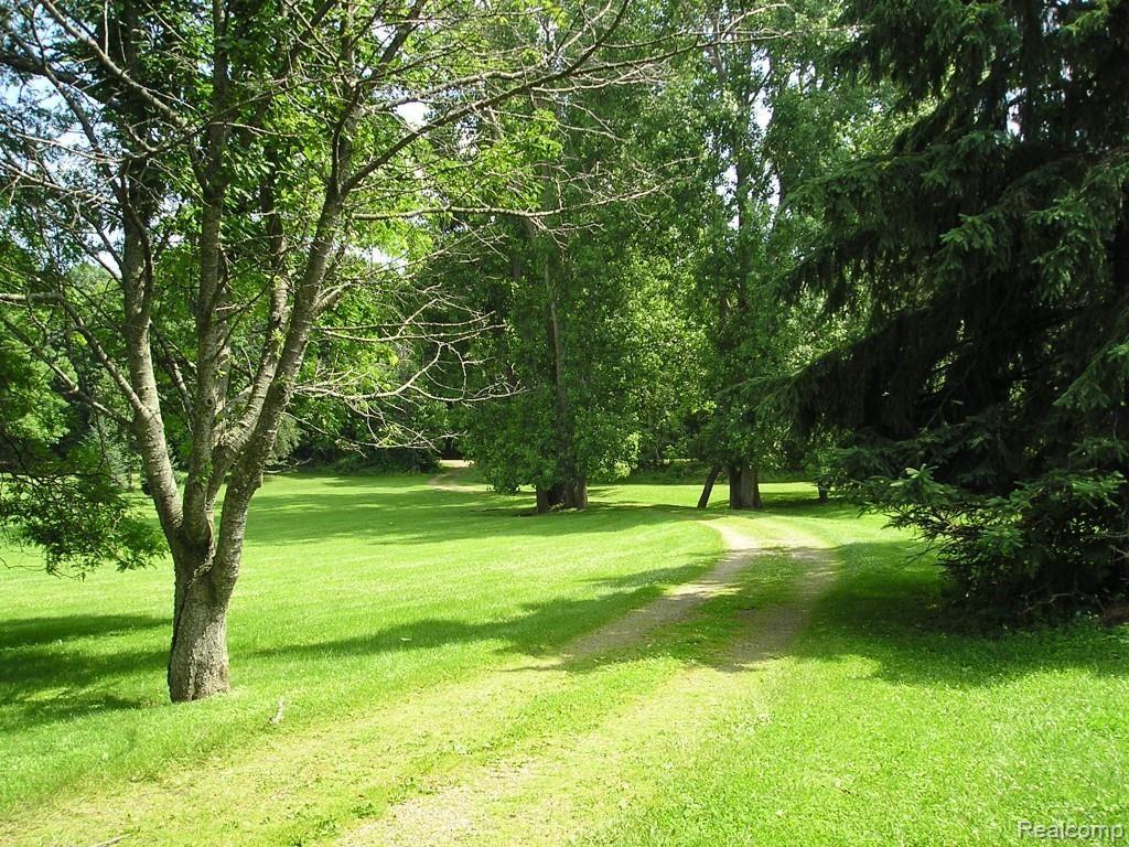 6353 Hough Road Almont, MI 48003 - Photo 14 of 26 View of winding driveway from the house. Looking south.