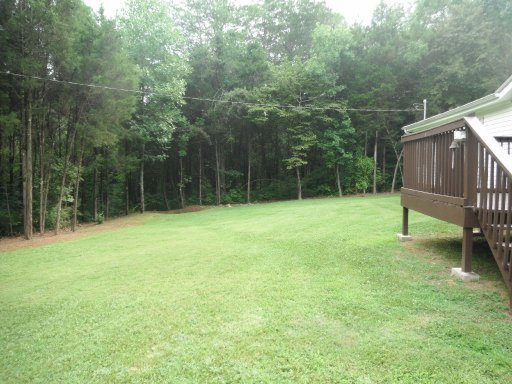3035 Point Pleasant Road Newport, TN 37821 - Photo 20 of 41 Additional Photo