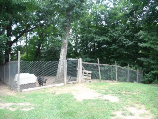 3035 Point Pleasant Road Newport, TN 37821 - Photo 29 of 41 Additional Photo
