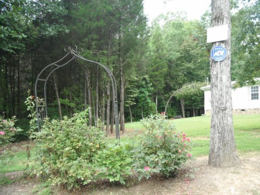 3035 Point Pleasant Road Newport, TN 37821 - Photo 30 of 41 Additional Photo