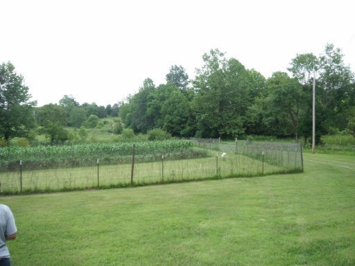 3035 Point Pleasant Road Newport, TN 37821 - Photo 33 of 41 Additional Photo