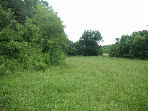 3035 Point Pleasant Road Newport, TN 37821 - Photo 35 of 41 Additional Photo