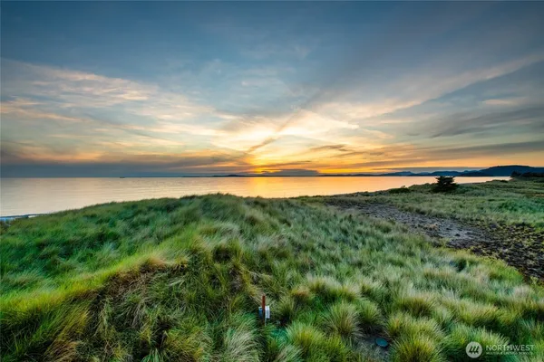 a view of a field with an ocean